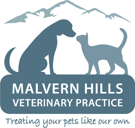 Shops malvern vet clinic