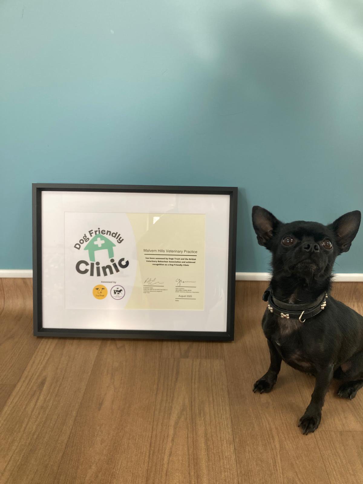 Dog Trust Friendly Clinic